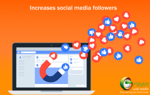 social media optimization services