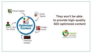 They-won--be-able-to-provide-high-quality-SEO-optimized-content